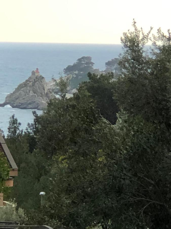 Apartmani Lime Petrovac Extérieur photo